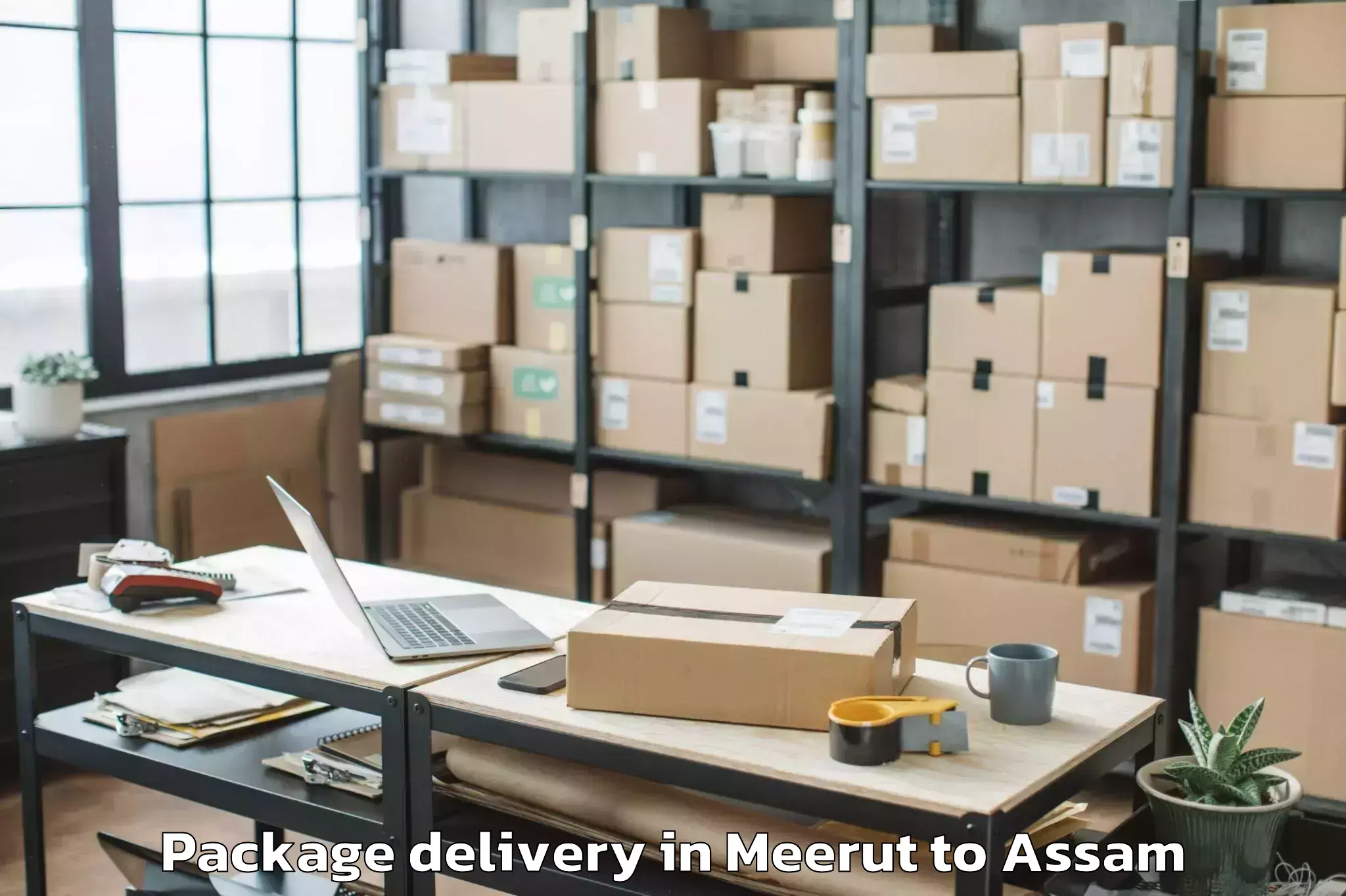 Affordable Meerut to Khoirabari Pt Package Delivery